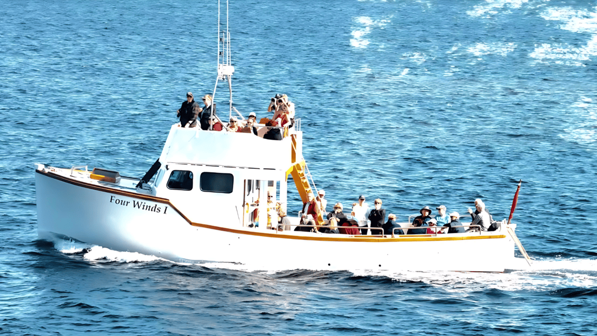 4 Winds Boat