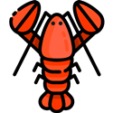 lobster